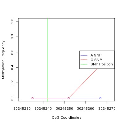 Allele Specific Methylation Frequency Diagram for chr12 30245242 SNP.