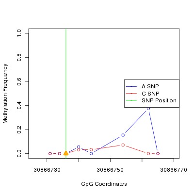 Allele Specific Methylation Frequency Diagram for chr12 30866736 SNP.