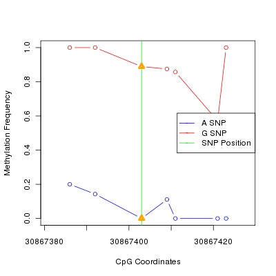 Allele Specific Methylation Frequency Diagram for chr12 30867403 SNP.