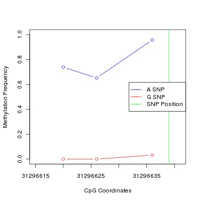 Allele Specific Methylation Frequency Diagram for chr12 31296639 SNP.