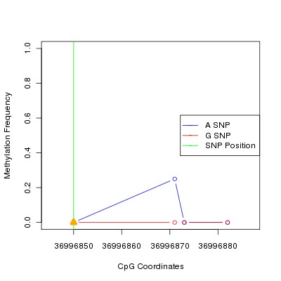 Allele Specific Methylation Frequency Diagram for chr12 36996850 SNP.