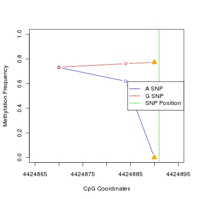 Allele Specific Methylation Frequency Diagram for chr12 4424891 SNP.