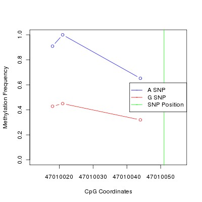 Allele Specific Methylation Frequency Diagram for chr12 47010051 SNP.