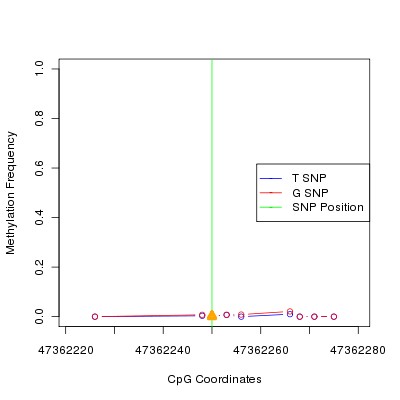 Allele Specific Methylation Frequency Diagram for chr12 47362250 SNP.