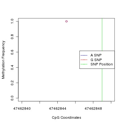 Allele Specific Methylation Frequency Diagram for chr12 47462849 SNP.
