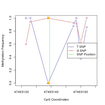 Allele Specific Methylation Frequency Diagram for chr12 47463139 SNP.
