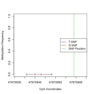 Allele Specific Methylation Frequency Diagram for chr12 47975864 SNP.