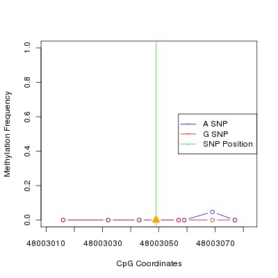 Allele Specific Methylation Frequency Diagram for chr12 48003049 SNP.