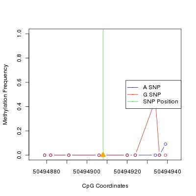 Allele Specific Methylation Frequency Diagram for chr12 50494908 SNP.
