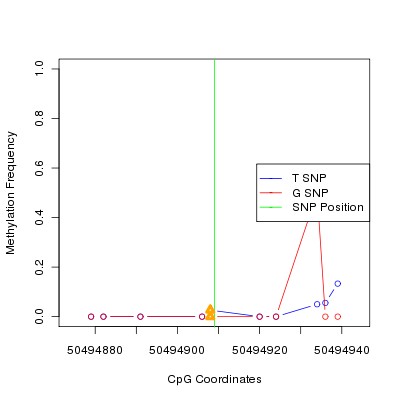 Allele Specific Methylation Frequency Diagram for chr12 50494909 SNP.