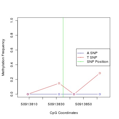 Allele Specific Methylation Frequency Diagram for chr12 50913835 SNP.