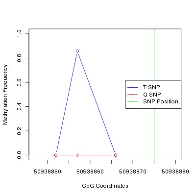 Allele Specific Methylation Frequency Diagram for chr12 50938875 SNP.