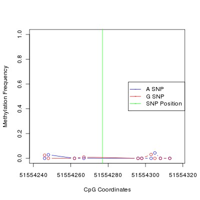 Allele Specific Methylation Frequency Diagram for chr12 51554277 SNP.