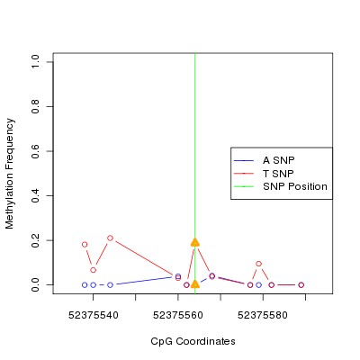 Allele Specific Methylation Frequency Diagram for chr12 52375564 SNP.