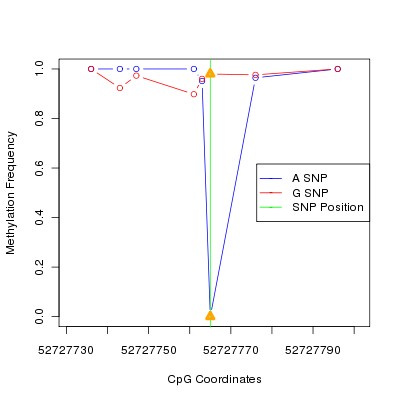 Allele Specific Methylation Frequency Diagram for chr12 52727765 SNP.