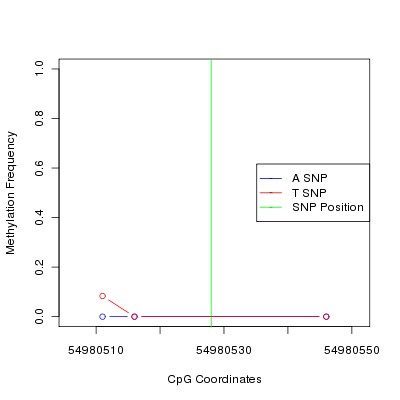 Allele Specific Methylation Frequency Diagram for chr12 54980528 SNP.