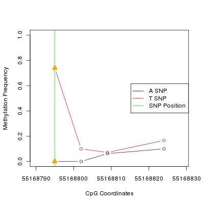 Allele Specific Methylation Frequency Diagram for chr12 55168795 SNP.