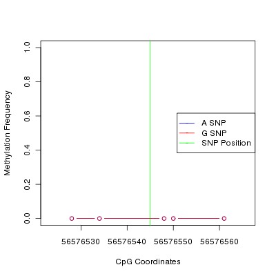 Allele Specific Methylation Frequency Diagram for chr12 56576545 SNP.