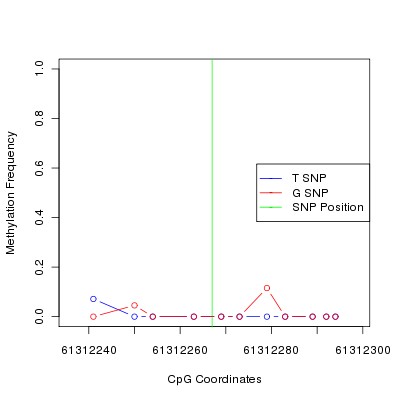 Allele Specific Methylation Frequency Diagram for chr12 61312267 SNP.