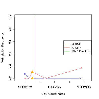 Allele Specific Methylation Frequency Diagram for chr12 61830476 SNP.