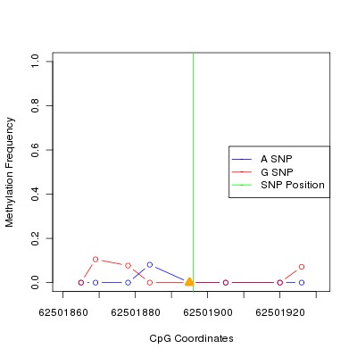 Allele Specific Methylation Frequency Diagram for chr12 62501896 SNP.