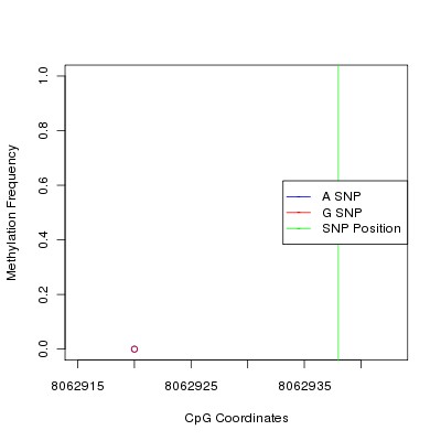 Allele Specific Methylation Frequency Diagram for chr12 8062938 SNP.