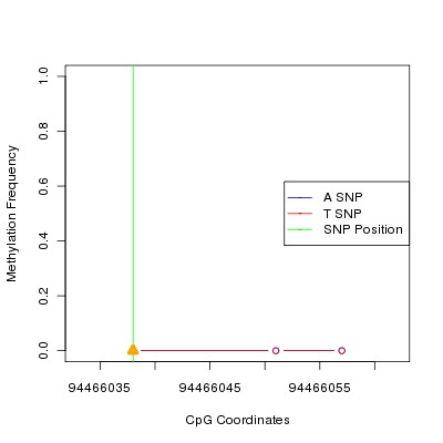 Allele Specific Methylation Frequency Diagram for chr12 94466038 SNP.