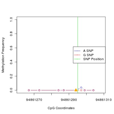 Allele Specific Methylation Frequency Diagram for chr12 94861295 SNP.