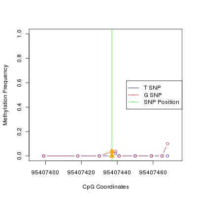Allele Specific Methylation Frequency Diagram for chr12 95407437 SNP.