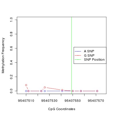 Allele Specific Methylation Frequency Diagram for chr12 95407549 SNP.