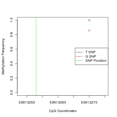 Allele Specific Methylation Frequency Diagram for chr13 53913253 SNP.