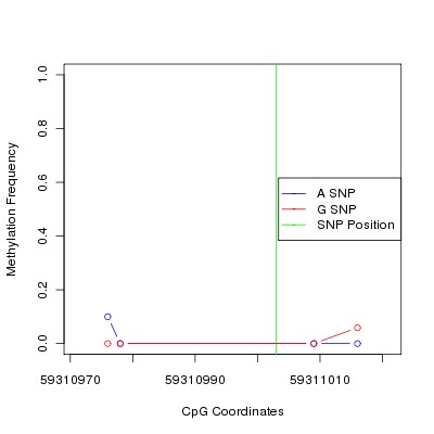 Allele Specific Methylation Frequency Diagram for chr19 59311003 SNP.