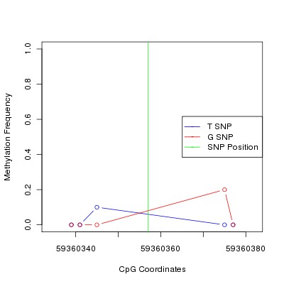 Allele Specific Methylation Frequency Diagram for chr19 59360357 SNP.