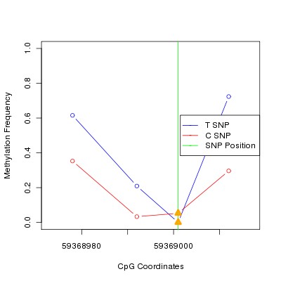 Allele Specific Methylation Frequency Diagram for chr19 59369001 SNP.