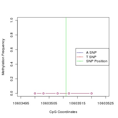 Allele Specific Methylation Frequency Diagram for chr20 10603511 SNP.