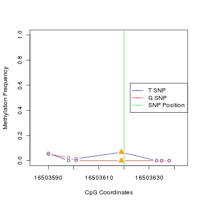 Allele Specific Methylation Frequency Diagram for chr20 16503620 SNP.