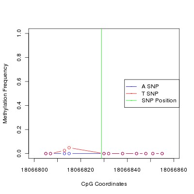 Allele Specific Methylation Frequency Diagram for chr20 18066829 SNP.