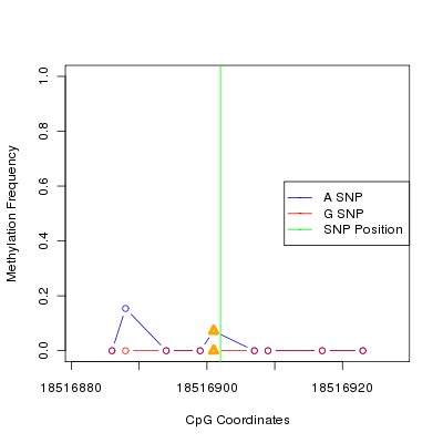 Allele Specific Methylation Frequency Diagram for chr20 18516902 SNP.