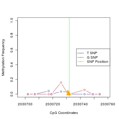 Allele Specific Methylation Frequency Diagram for chr20 2030732 SNP.