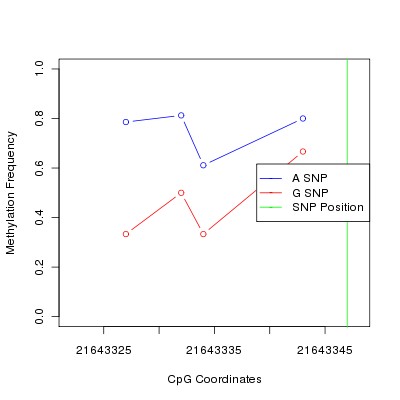 Allele Specific Methylation Frequency Diagram for chr20 21643347 SNP.