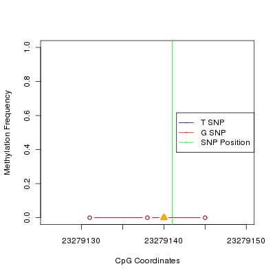 Allele Specific Methylation Frequency Diagram for chr20 23279141 SNP.