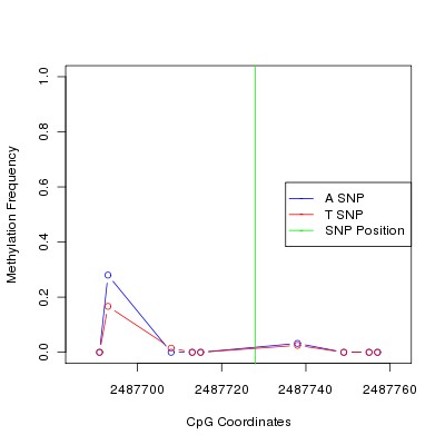 Allele Specific Methylation Frequency Diagram for chr20 2487728 SNP.