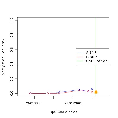 Allele Specific Methylation Frequency Diagram for chr20 25012312 SNP.