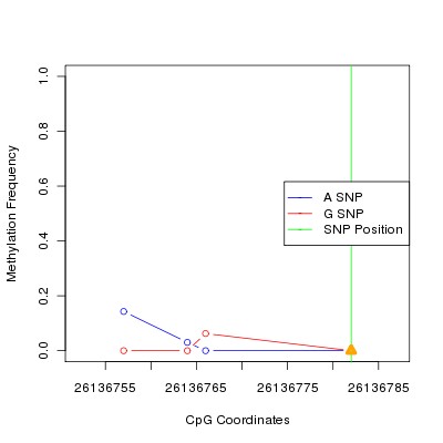 Allele Specific Methylation Frequency Diagram for chr20 26136782 SNP.
