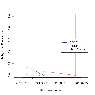 Allele Specific Methylation Frequency Diagram for chr20 26136782 SNP.