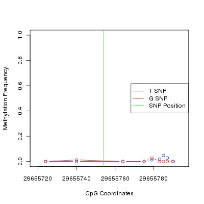 Allele Specific Methylation Frequency Diagram for chr20 29655754 SNP.