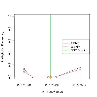 Allele Specific Methylation Frequency Diagram for chr20 29774919 SNP.