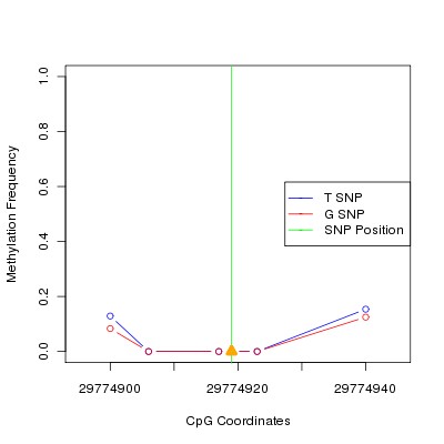 Allele Specific Methylation Frequency Diagram for chr20 29774919 SNP.