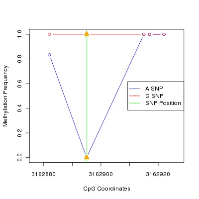 Allele Specific Methylation Frequency Diagram for chr20 3162895 SNP.