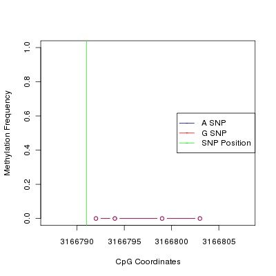 Allele Specific Methylation Frequency Diagram for chr20 3166791 SNP.